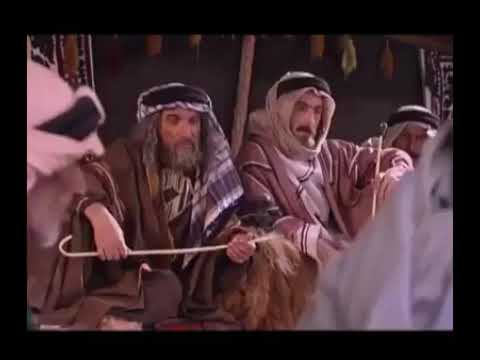 بعض صفات الخيل العربية