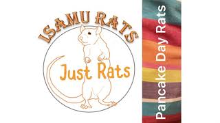 Just rats: Pancake Day rats by Isamu Rat Care 1,890 views 3 years ago 3 minutes, 7 seconds