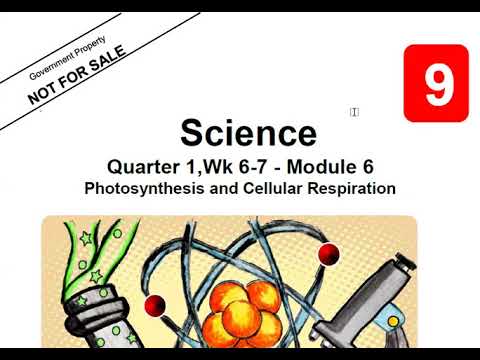 Module 6. Starlight учебник. Английский язык module 6 unit 12. Module presentation. Synchronization.