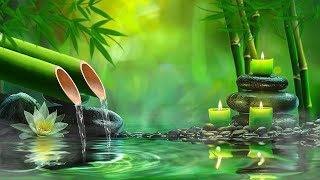 Relaxing Piano Music + Insomnia and Healing 🌿 Nature Sounds, Relieves Stress Music, Calming music