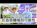 【愛在左右】城市科技農夫 在香港種植的可能性