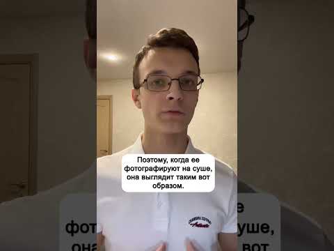 Рыба-капля #биология #биологияегэ #биологияогэ #огэ #егэ #shorts