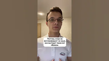 Рыба-капля #биология #биологияегэ #биологияогэ #огэ #егэ #shorts