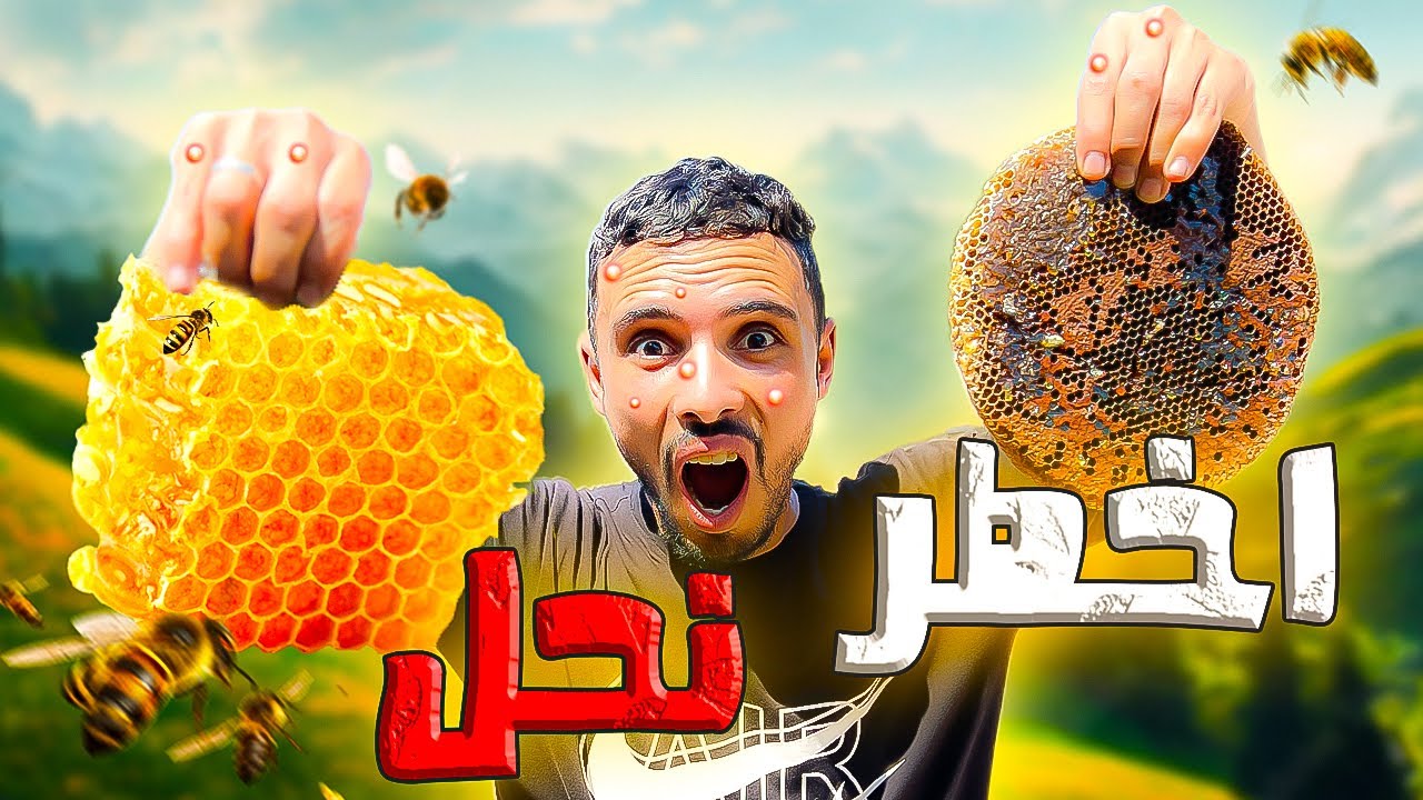 العيش الحر:تحدي جمع العسل🍯من البرية⛰️اخطر انواع⛔️ النحل الأسود 😱