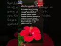 செம்பருத்தி#பொடுகு போகனுமா?#Hibiscus#Health tips#Dandruff@Dr.SamsInfo