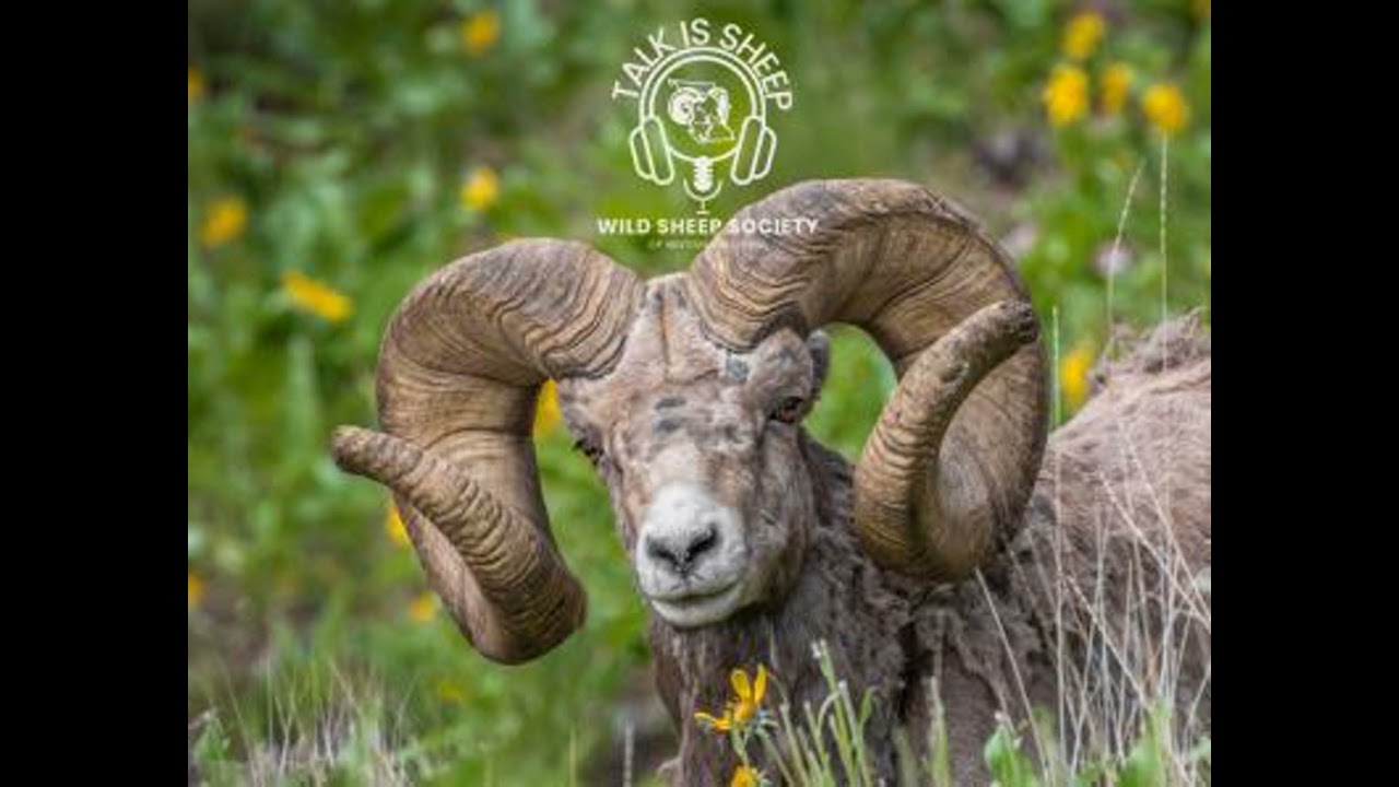 Ep 52: Kicked Out with Joe Humphries