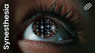 Da Vosk Docta - Gangsigns [Visual Video] Synesthesia