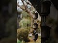 Transform Your Garden with Feng Shui Magic!