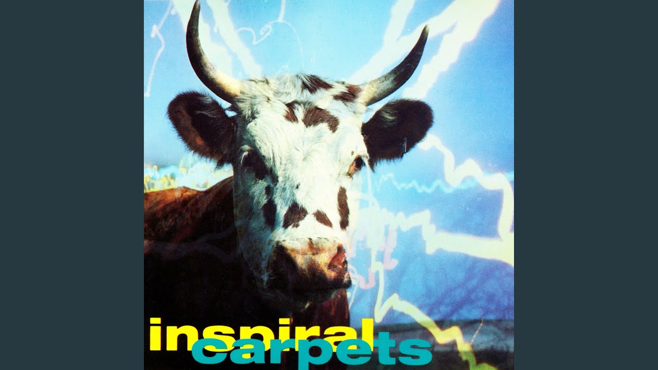 Commercial Reign (Hog Battered Mix) - YouTube