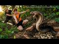 72 Hours Nightmare 🐍 Huge Snake Invades Duck Farm—Shocking Fight for Survival!