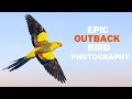 Epic Outback Bird Photography With The R5