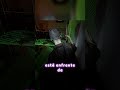 Fantasma goloso! #phasmophobia #phasmophobiagameplay #humor #phasmophobiamoments