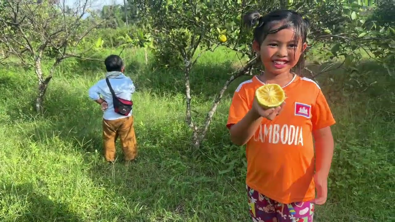 នាយក្រិននាំកូនៗមកចម្ការក្រូច