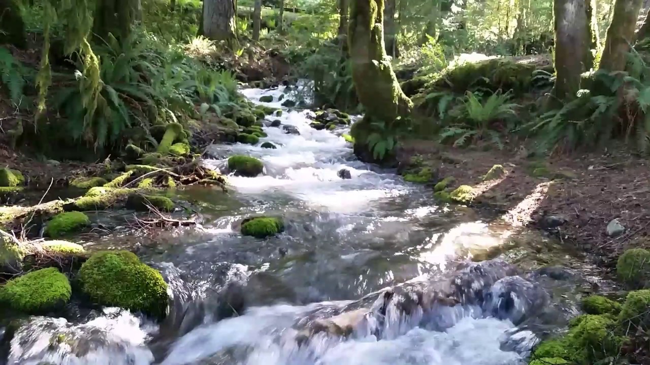 camera iphone 8 plus apk Up Close Beautiful Waterfall Flowing into Lake Crescent in Olympic National Park, Washington