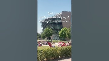 Work is fun! #work #dmu #university #leicester #workmode #ytshort #yt #i #breathe #officelife #me