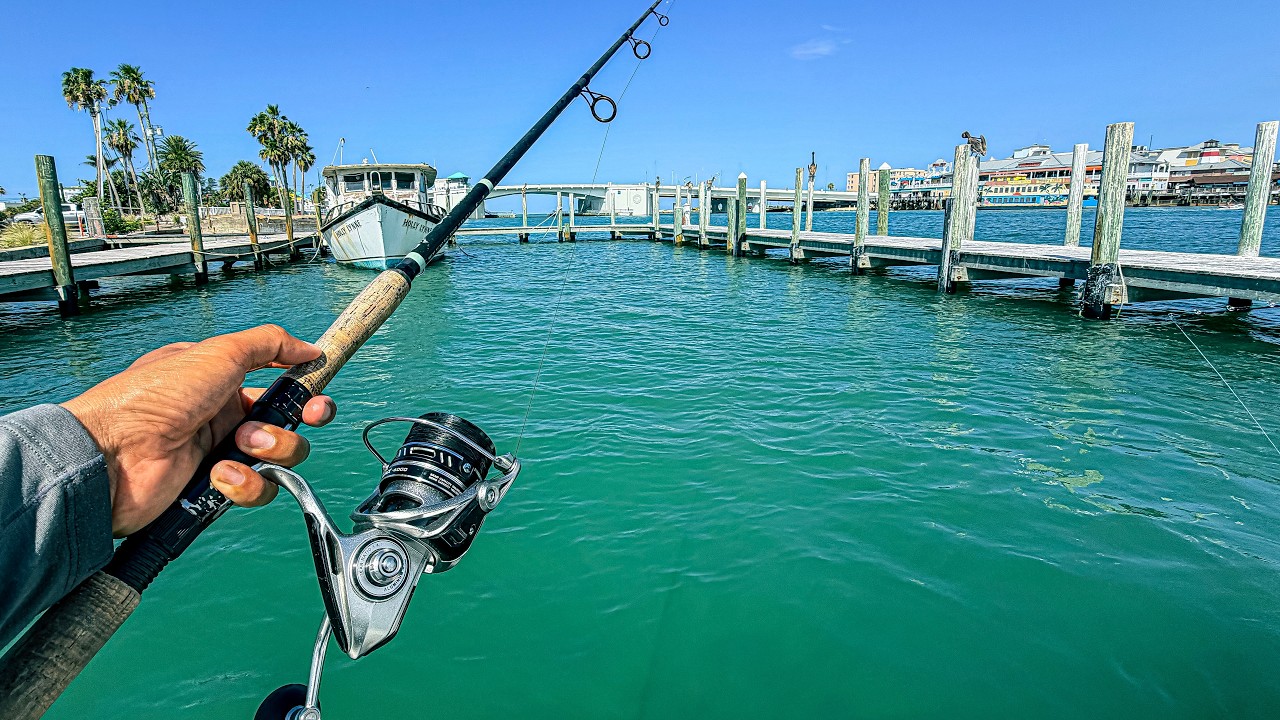 The Craziest Combat Fishing Ever at Johns Pass