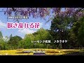 『咲き乱れる花』レーモンド松屋 カラオケ 2020年4月15日発売
