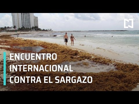 Inicia en Cancún encuentro internacional para abordar la crisis del sargazo - Despierta con Loret