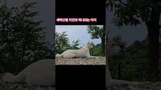 아침일찍 올라와 아지에게 한시간의 자유를 선물합니다.