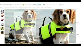 Крутой спасательный жилет для собак с Aliexpress Крутой спасательный жилет для собак с Aliexpress