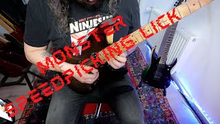 MONSTER SPEEDPICKING LICK - Nr. 1