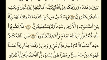 القارئ إبراهيم الأخضر سورة النحل.