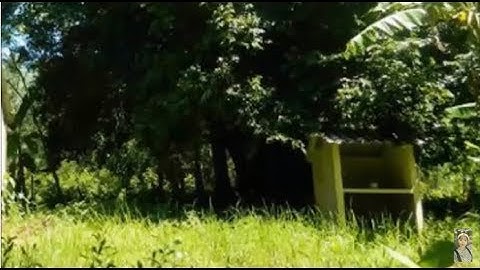 Chuyện tâm linh có thật - Rùng mình chuyện xung quanh những ngôi miếu oan hồn