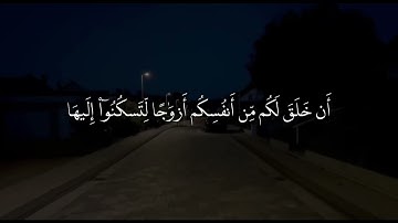 القارئ:جابر القيطان |سورة الروم