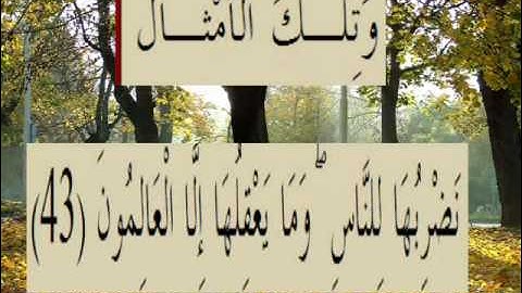 القران الكريم سورة العنكبوت الأية 43.wmv