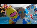 BRINCANDO NA PISCINA | TARDE EM FAMÍLIA | Funny Story for Kids | ETHAN E LOLO NO BRASIL