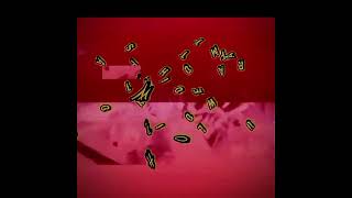 Tkm Edit 🔥|@DOM_Studio Titan clockman|Lovely bastard#edit #skibiditoilet #skibiditoiletedits WW?