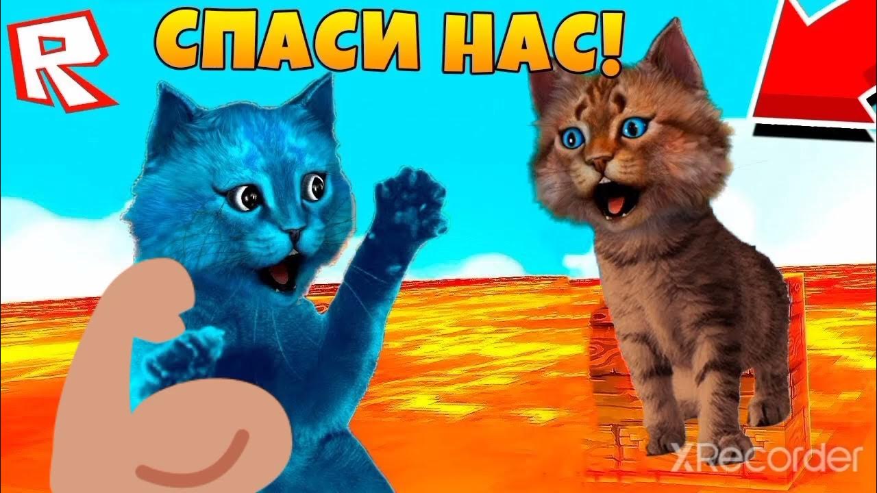 Симуляторы котенка лайка. Видео про котенка лайка. Номер телефона котёнка лайка. Брат котенка лайка. Милый котик из лайка 2020-2021.