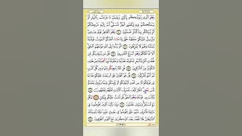 صفحة/١٣٥/ رواية قالون عن نافع/سورة الأنعام/ ابو النور الهادي