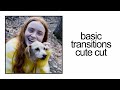 Basic Transtions | Cute Cut