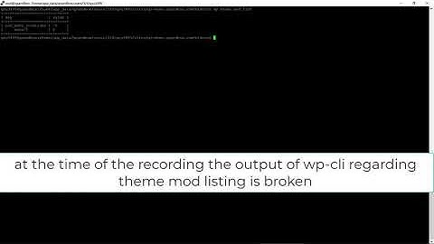 WP CLI Tutorial - wp cli theme mod get command