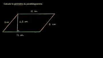 C'est quoi le périmètre d'un parallélogramme ?