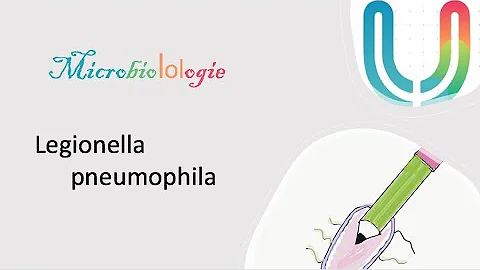Quels sont les prélèvements bactériologiques qui peuvent être réaliser pour diagnostiquer une pneumonie à Legionella pneumophila ?