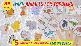 Learn Animals Names and Sounds | ABC Animals | Learning Videos for Toddlers | Read Aloud Books