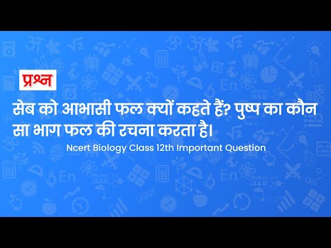 वीडियो: दाता में कौन सा अध्याय सेब के बारे में बात करता है?