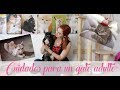 Cuidados para un gato adulto - CAT TIPS, Naty Moreno