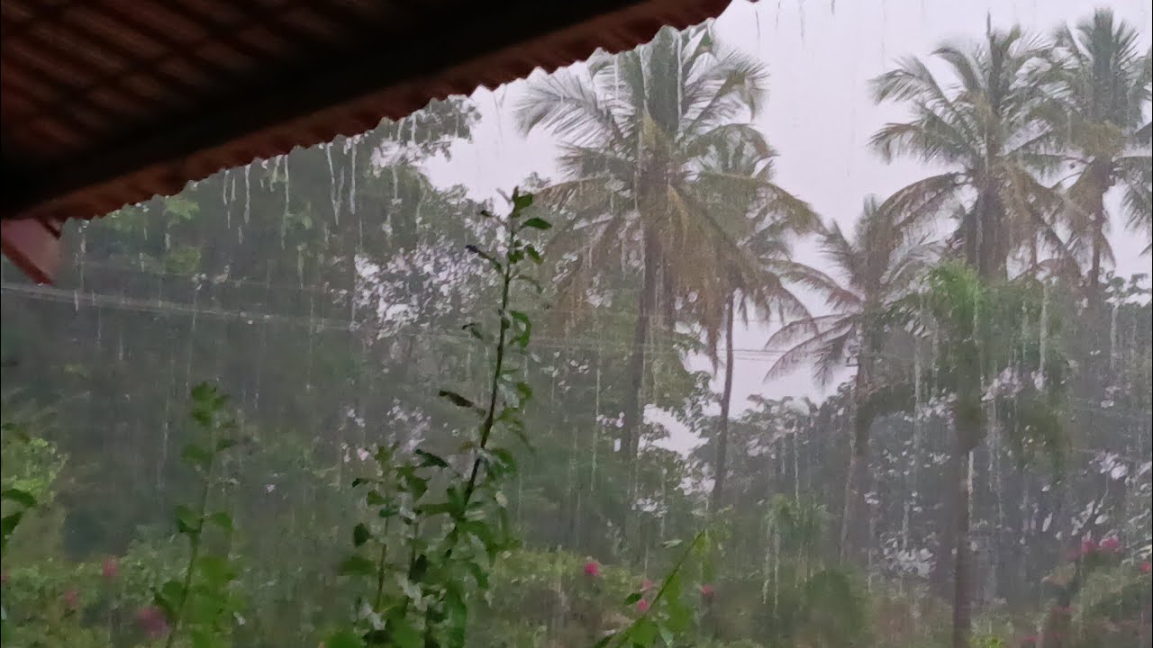 shimoga rain news | ಶಿವಮೊಗ್ಗ ನಗರದಲ್ಲಿ ಧಾರಾಕಾರ ಮಳೆ! |