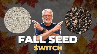 Should You Change Your Bird Seed for Fall? Here’s What to Feed