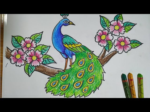 Peacock Scenery Drawing with Oil Pastels