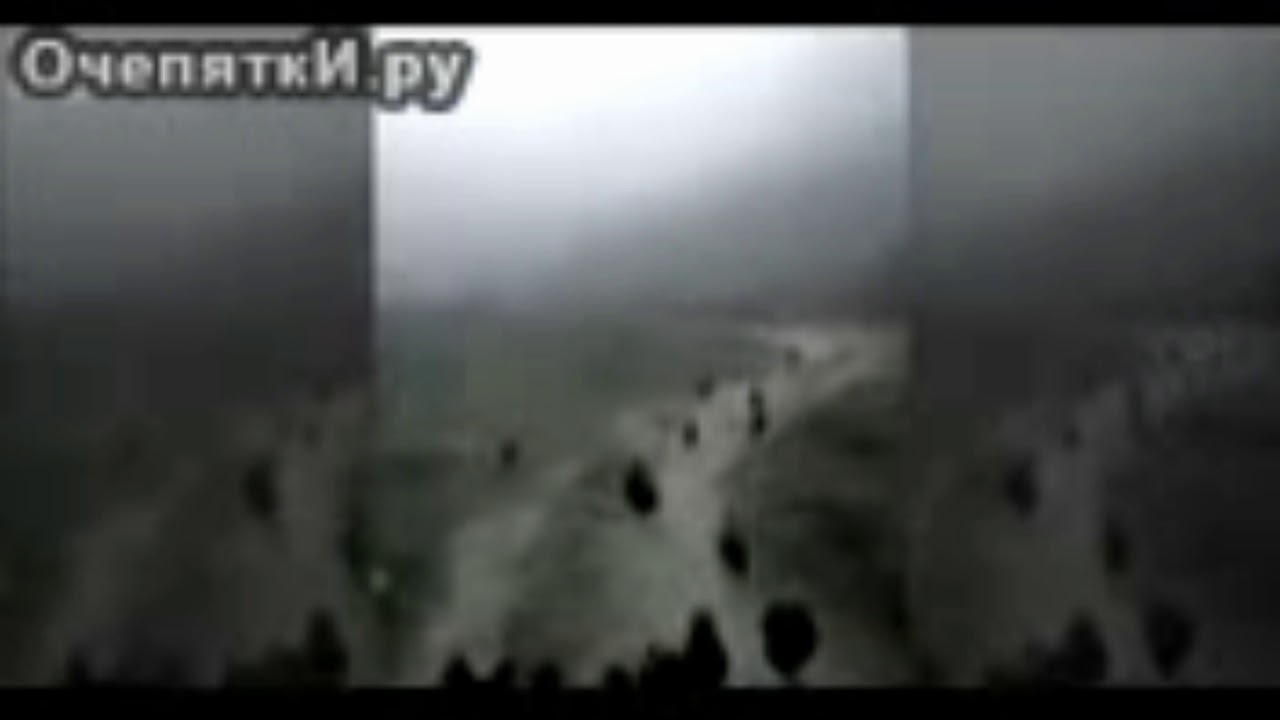 Ewe cilbo bocil dood asupan