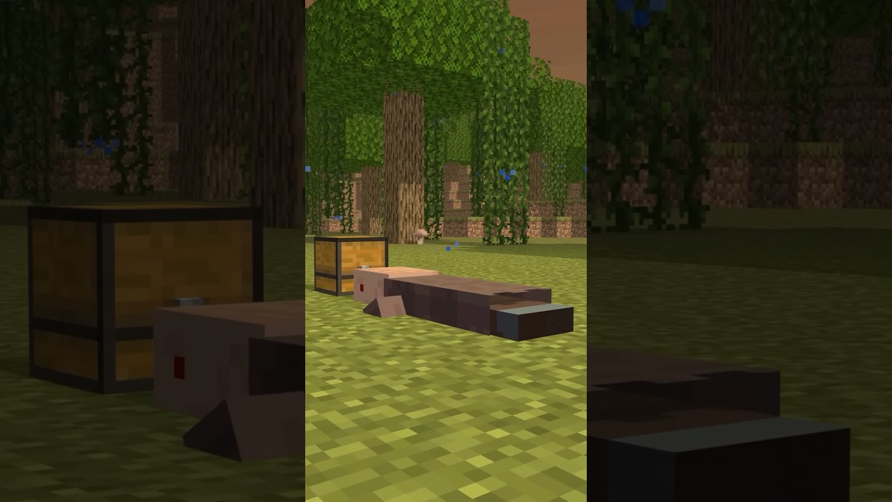Outline Video (P3) Cuộc Đời Của Phù Thủy | KIN | #minecraftmovie #minecraftshorts #minecraft | Cre: Herobrine San