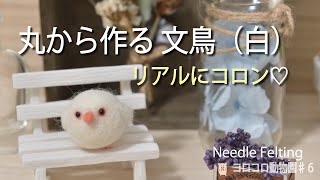 【文鳥 白】コロンなのにリアル⁈近道は目の周りと尾の形✨コロコロ動物園＃6