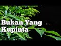 Bukan Yang Kupinta || Rita Sugiarto•COVER Agung