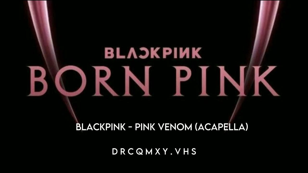 Blackpink world tour born pink 2023 концерт. Born pink tour. Born pink tour. Блэкпинк борн пинк. Born pink tour.