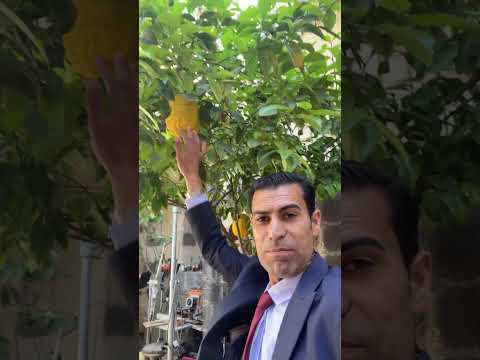 أحد بيوت باب الحارة بيت الدمشقي القديم دمشق اكسبلور اكسبلور