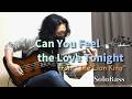 Can You Feel the Love Tonight / 愛を感じて (ライオン・キング) 【SoloBass Play】